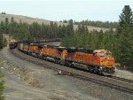 BNSF 6630